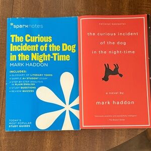 The Curious Incident of the Dog in the Night-Time Book